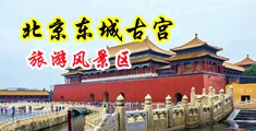 美女让男人操的网站中国北京-东城古宫旅游风景区